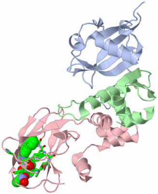 Image Biol. Unit 1 - sites