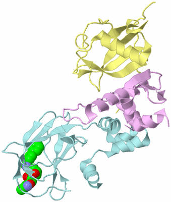 Image Biological Unit 2