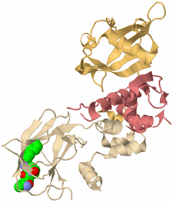 Image Biological Unit 3