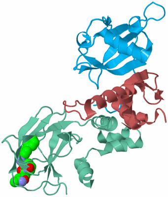 Image Biological Unit 4