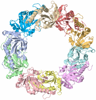 Image Asym./Biol. Unit