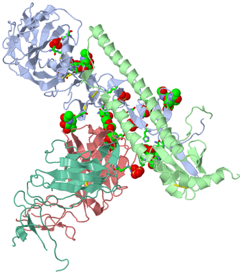 Image Asym./Biol. Unit - sites