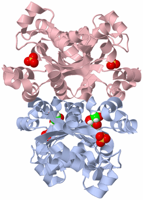 Image Biological Unit 1