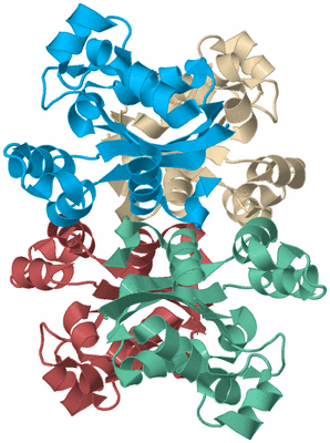 Image Biological Unit 3