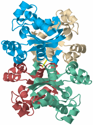 Image Biological Unit 3