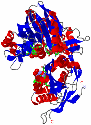 Image Asym. Unit - sites