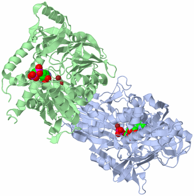 Image Asym./Biol. Unit