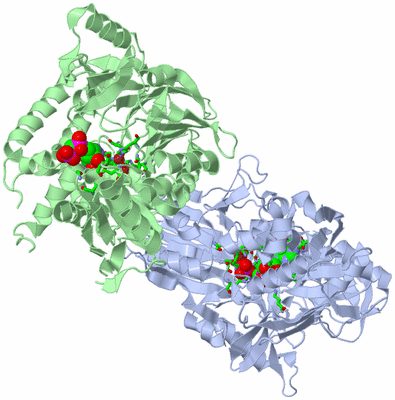 Image Asym./Biol. Unit - sites