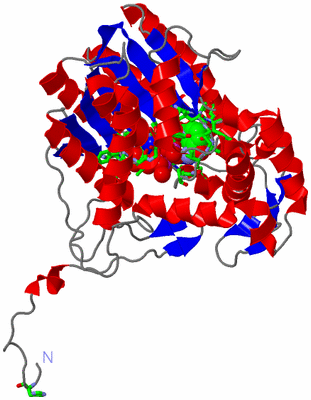 Image Asym. Unit - sites