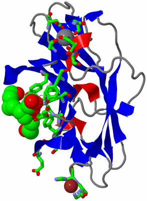 Image Asym./Biol. Unit - sites