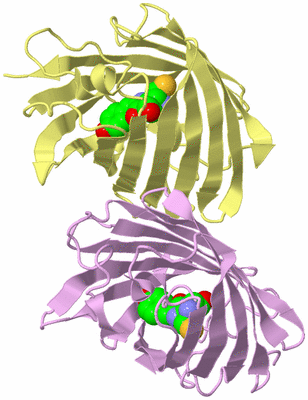 Image Biological Unit 1