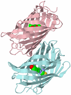 Image Biological Unit 2