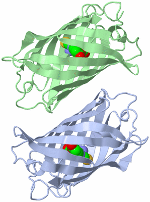 Image Biological Unit 3