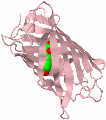 Image Biological Unit 3