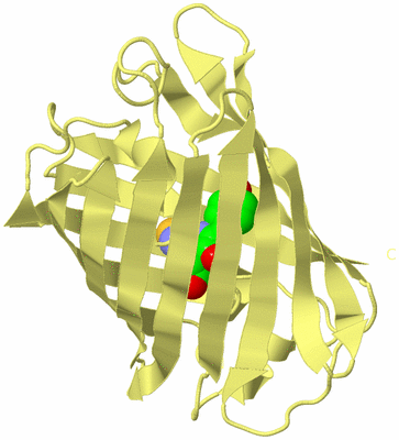 Image Biological Unit 4