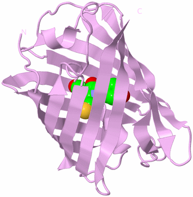 Image Biological Unit 5