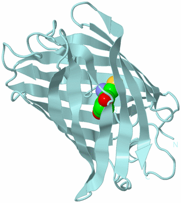 Image Biological Unit 6