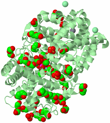 Image Biological Unit 2