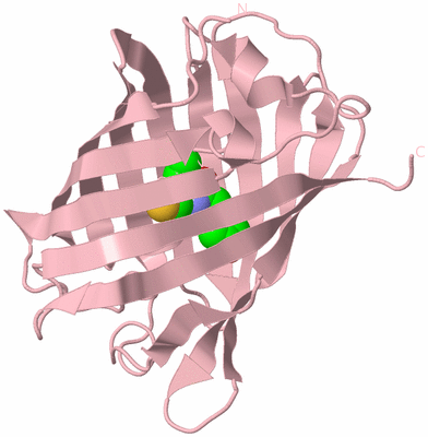 Image Biological Unit 3