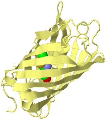 Image Biological Unit 4