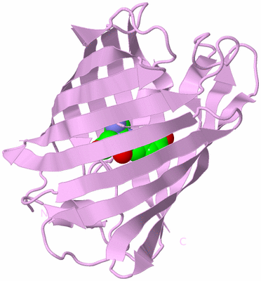 Image Biological Unit 5