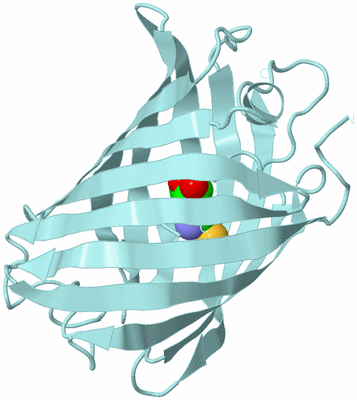 Image Biological Unit 6