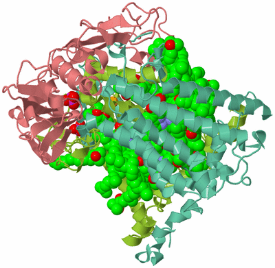 Image Asym./Biol. Unit