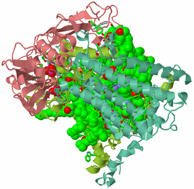 Image Asym./Biol. Unit - sites