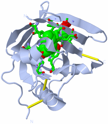 Image Biol. Unit 1 - sites