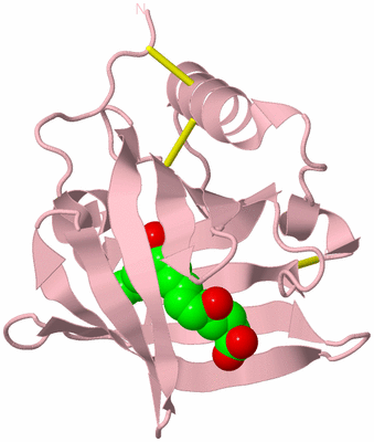 Image Biological Unit 3