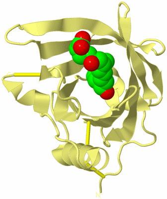 Image Biological Unit 4