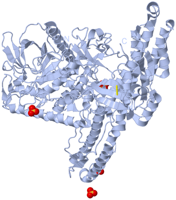 Image Biological Unit 1