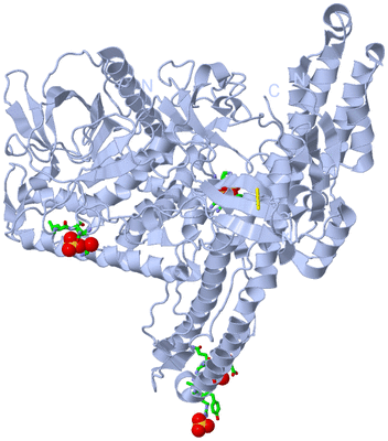 Image Biol. Unit 1 - sites