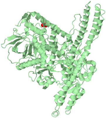 Image Biological Unit 2