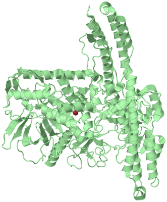 Image Biological Unit 2