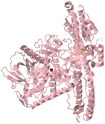 Image Biological Unit 3