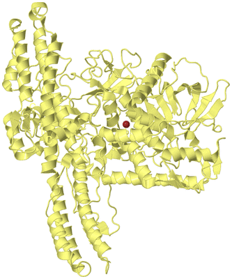 Image Biological Unit 4