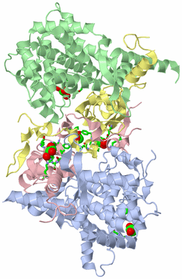 Image Asym./Biol. Unit - sites