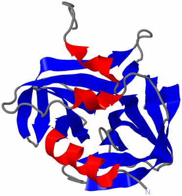 Image Asymmetric Unit