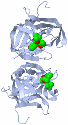 Image Biological Unit 1