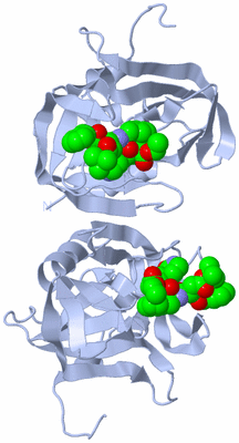 Image Biological Unit 1