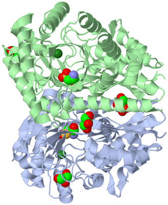 Image Asym./Biol. Unit