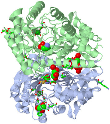 Image Asym./Biol. Unit - sites