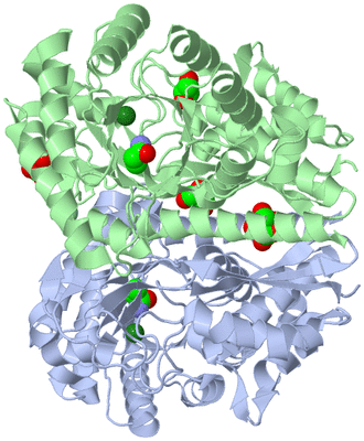 Image Asym./Biol. Unit