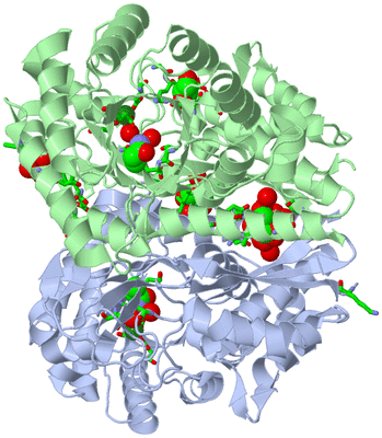 Image Asym./Biol. Unit - sites