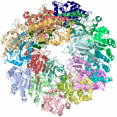 Image Asym./Biol. Unit