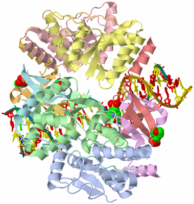 Image Asym./Biol. Unit