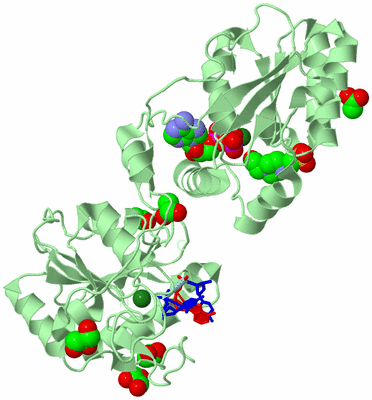 Image Biological Unit 1