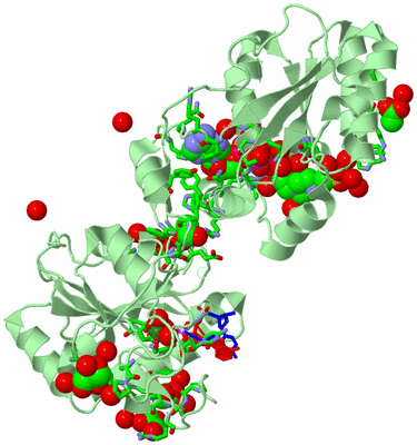 Image Biol. Unit 1 - sites