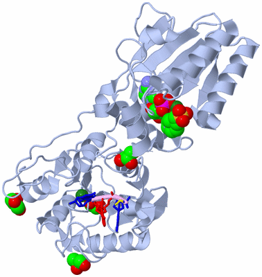 Image Biological Unit 2